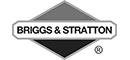 Briggs & Stratton Briggs & Stratton