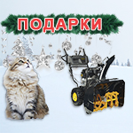 Новости о снегопаде акций