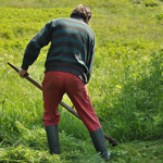 Весенние обзоры и обновка выбора газонокосилок