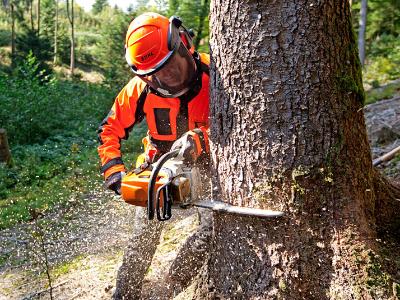 Рейтинг бензопил 2024